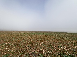 SITIO DE LA CALLEJA 7