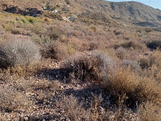 PARCELAS 136,138,Y142 SECTOR ZR 21 3
