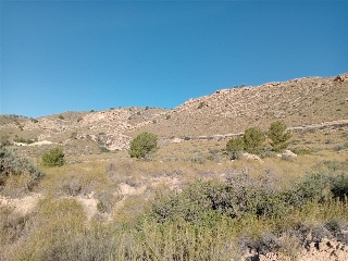 PARCELAS 136,138,Y142 SECTOR ZR 21 5