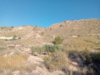 PARCELAS 136,138,Y142 SECTOR ZR 21 7