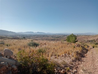 PARCELAS 136,138,Y142 SECTOR ZR 21 9