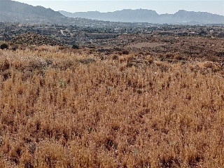 PARCELAS 136,138,Y142 SECTOR ZR 21 10