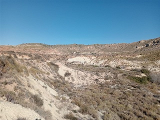 PARCELAS 136,138,Y142 SECTOR ZR 21 11