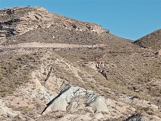 PARCELAS 136,138,Y142 SECTOR ZR 21 12