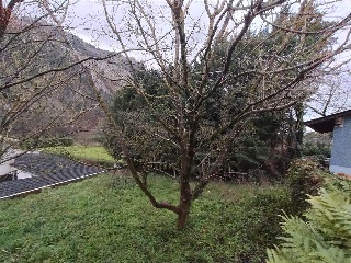 OTAÑES-CORRALES 3