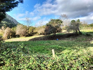 OTAÑES-CORRALES 5