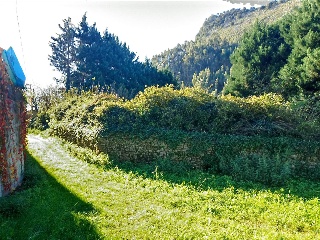 OTAÑES-CORRALES 7