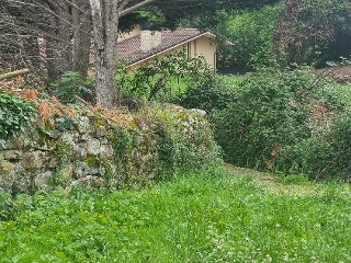 OTAÑES-CORRALES 9
