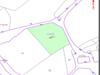 OTAÑES-CORRALES 11