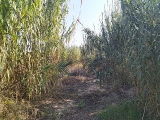 LA ALBERCA 2