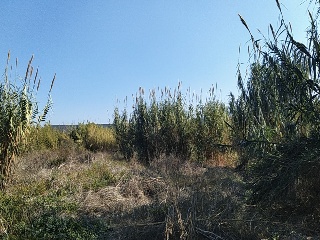 LA ALBERCA 3