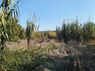 LA ALBERCA 4