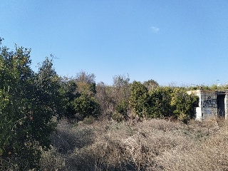 LA ALBERCA 6