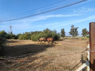 LAS METAS 8