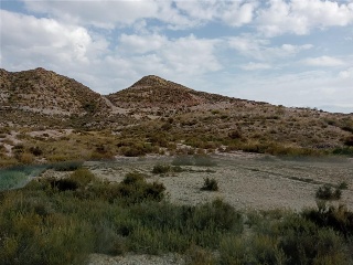 Pisos banco Águilas