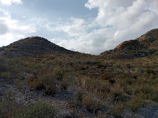 HACIENDA LAS ZURRADERAS Y EL ALJIBE 4
