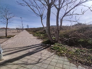 Pisos banco Arganda del Rey