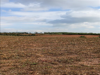 DESARROLLO INDUSTRIAL 6