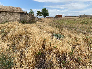 MADRID-TOLEDO 7
