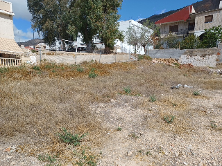 PARTIDO DE LAS PUERTAS DE MURCIA 5