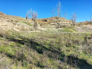8 (CAMINO DE TEJADILLA) 2