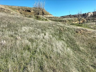 8 (CAMINO DE TEJADILLA) 4