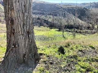8 (CAMINO DE TEJADILLA) 8