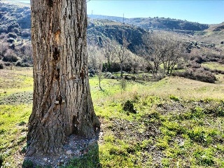 8 (CAMINO DE TEJADILLA) 10