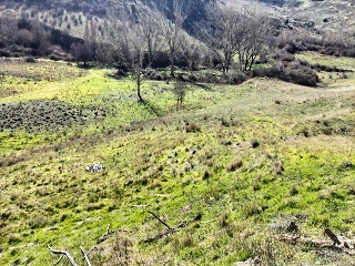 8 (CAMINO DE TEJADILLA) 11