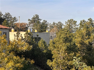 SANT NICOLAS 8