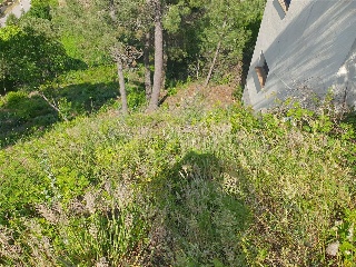 SANT NICOLAS 9