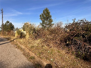 SANT NICOLAS 2