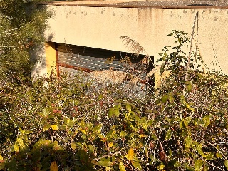 SANT NICOLAS 5