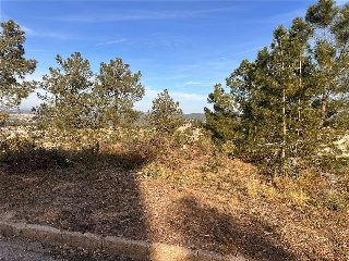 SANT NICOLAS 8