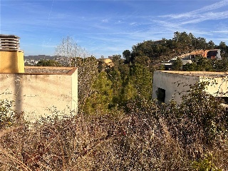 SANT NICOLAS 9