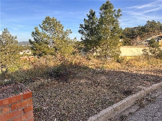 SANT NICOLAS 10