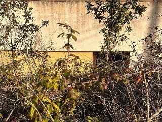 SANT NICOLAS 11