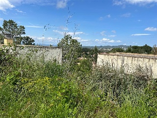SANT NICOLAS 13