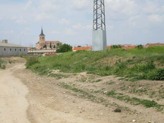 OLIVAR DEL CUADRO 3