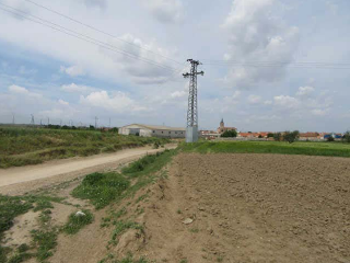 OLIVAR DEL CUADRO 4