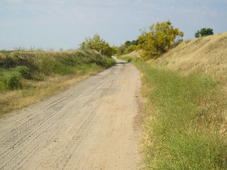 OLIVAR DEL CUADRO 6