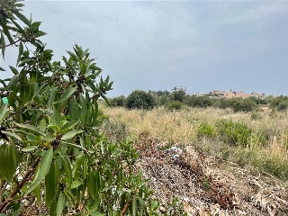 SAN ANTONIO 4