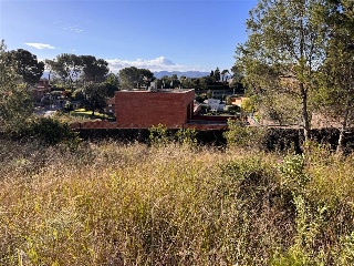 CEDRE 5