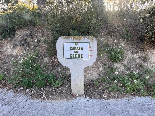 CEDRE 6