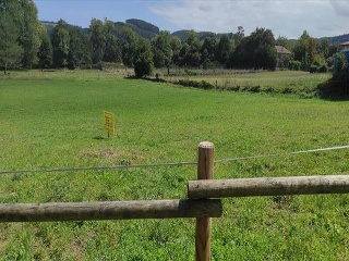 GOLBARDO 3