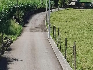 GOLBARDO 6