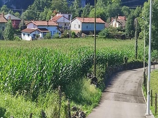 GOLBARDO 7