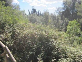 PARCELA 60 D4, PARTIDA EL MONTGO 2