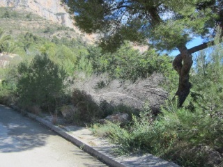 PARCELA 60 D4, PARTIDA EL MONTGO 5