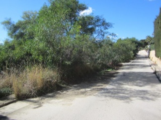 PARCELA 60 D4, PARTIDA EL MONTGO 7